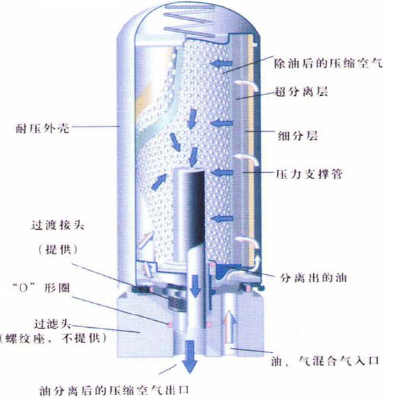 亚洲亚洲人成综合网络