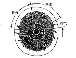 亚洲亚洲人成综合网络