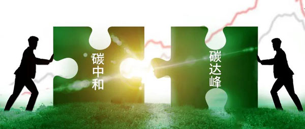 亚洲亚洲人成综合网络