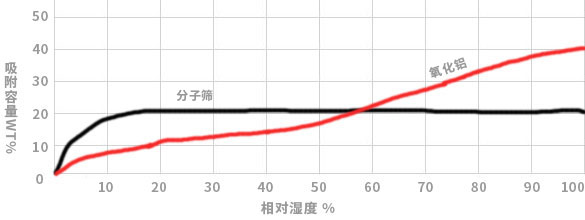 亚洲亚洲人成综合网络
