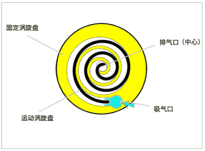 亚洲亚洲人成综合网络